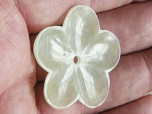 Flower 444 - (5265)